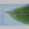 Leaf Apex 20er 01.jpg