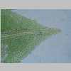 Leaf Apex 40er 01.jpg