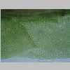Leaf Middle 40er 01.jpg