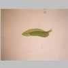 Leaf 04er 03.jpg
