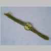 Leaf Cross 40er 03.jpg